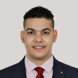 Тавадрос Мина Сами Булес